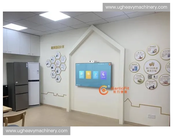 运动测试仪在健康管理与体能评估中的创新应用研究